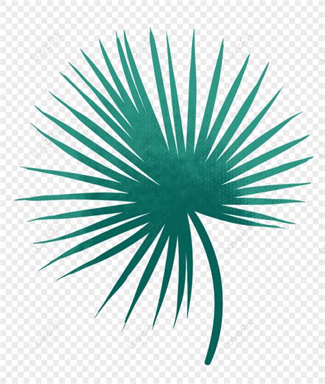 Plant Leaves, Palm Tree, Leaves Lines, Leaves Tree PNG Free Download ...