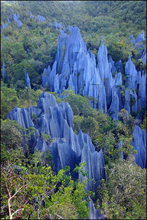 Explore the Wonders of Gunung Mulu National Park