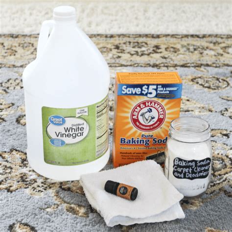 Baking Soda Carpet Cleaner & Deodorizer – At Home With Zan