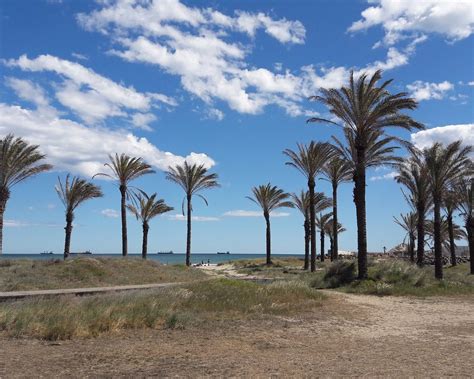 THE BEST Castellón de la Plana Beaches (2024) - Tripadvisor