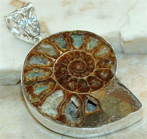 | Ammonite Fossil Jewelry : Handamde Ammonite Fossil Silver Pendant 925 ...