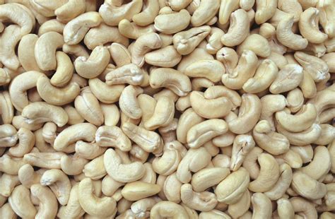 WW 240 - White Wholes - CASHEW KERNEL GRADES - MYANCO.,LTD