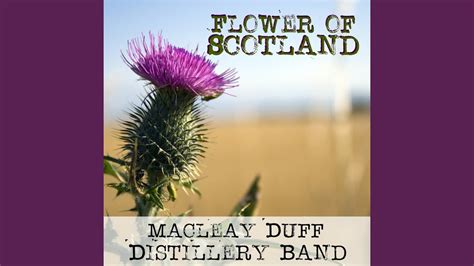 Flower of Scotland Chords - Chordify