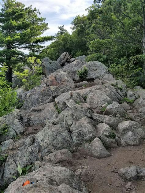 Appalachian Trail: High Point State Park to Mount Peter | Hiking route ...