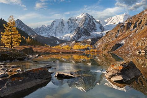 Top 60 Altai Nature Reserve Stock Photos, Pictures, and Images - iStock