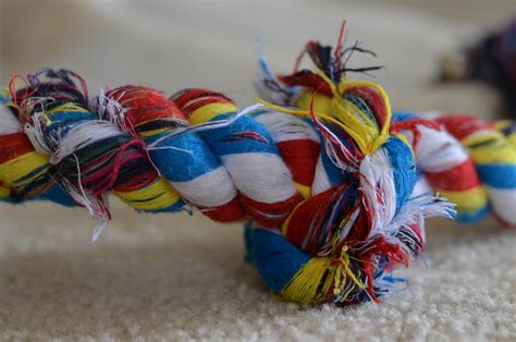 A Tale of Two Huskies: Multi-Colored Rope