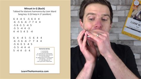 Minuet in G free harmonica lesson and tabs LearnTheHarmonica