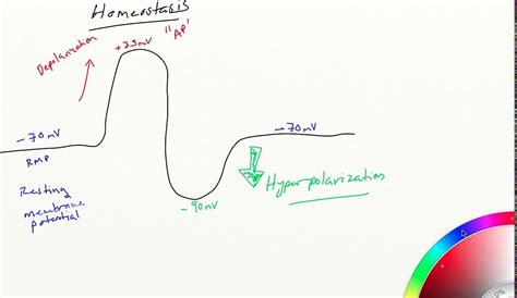 Depolarization