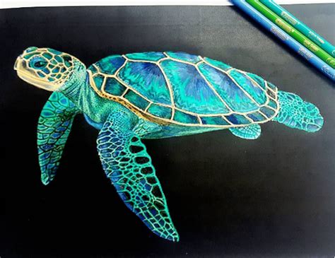 Realistic Turtle Drawing at GetDrawings | Free download