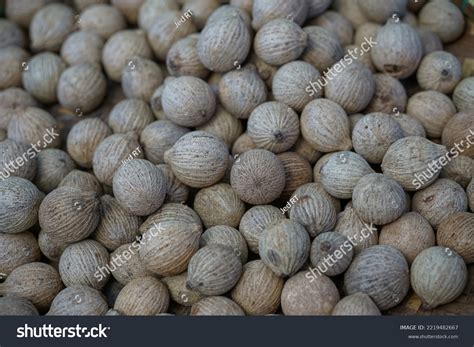 Buah Kulim Rare Fruit Malaysia Known Stock Photo 2219482667 | Shutterstock