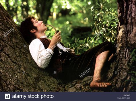 THE LORD OF THE RINGS: THE FELLOWSHIP OF THE RING ELIJAH WOOD as Stock Photo: 156891515 - Alamy