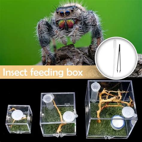 JUMPING SPIDER HABITAT Breeding Box Cages For Spider Insect New Small GX P6U6 $6.21 - PicClick