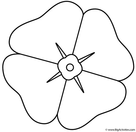 Poppy - Coloring Page (Remembrance Day)