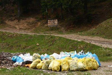 Poluarea - Natura in pericol: Poluarea solului