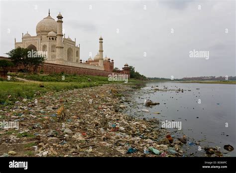 History Taj Mahal In Hindi - multifileschips