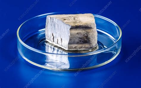 Block of sodium metal - Stock Image - C037/5868 - Science Photo Library