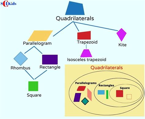 Quadrilateral [Explained with Pic], 7 Types of Quadrilaterals