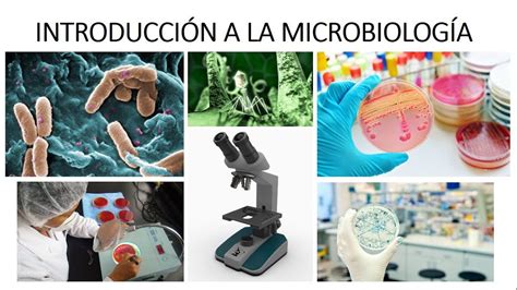 INTRODUCCIÓN A LA MICROBIOLOGÍA - ¿Qué es la microbiología? - YouTube