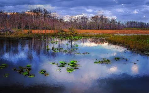 Grassy Waters Preserve, Florida, USA