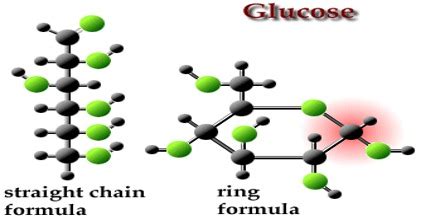 How Structure of Glucose Molecule can be Identify? - QS Study