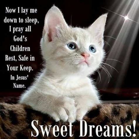 Now I lay me down to sleep, I pray all God's children rest | Good night i love you, Nighty night ...