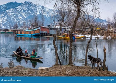 A Kashmiri Man with His Family Riding a Shikara in Winter, Srinagar, Kashmir, India Editorial ...