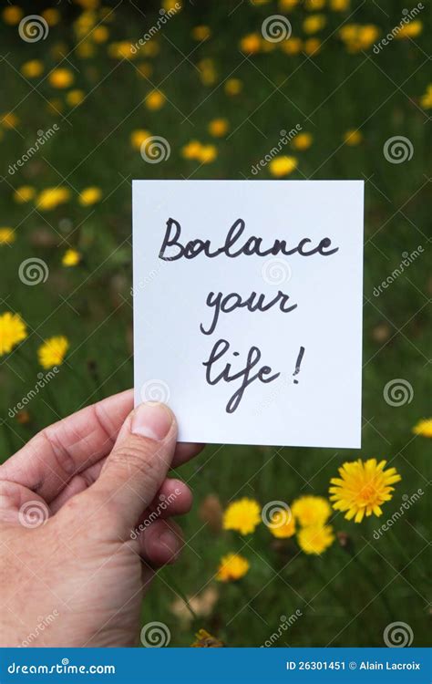 Balance your life stock image. Image of esteem, financial - 26301451