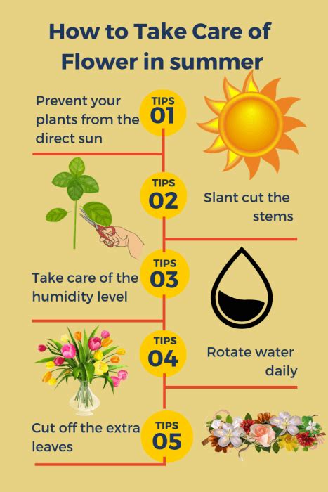 How to Take Care of Flower in summer with These Effortless Tips | Blooms Only Pune Blog-Fresh ...