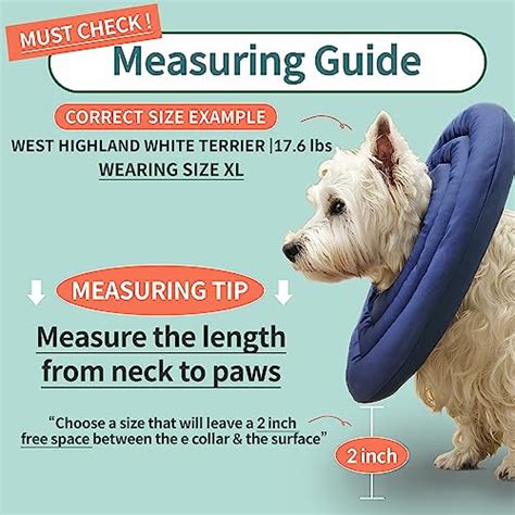 The 9 Best Dog Cone Alternatives - BestForPets.org