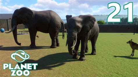 Planet Zoo - Part 21 - ELEPHANTS - YouTube