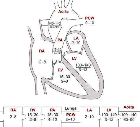 Unsupported Browser | Cath lab nursing, Cardiac, Heart pressure