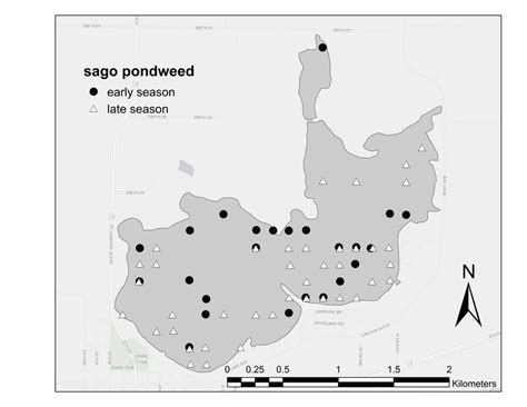 Distribution of sago pondweed sampled in early- and late-season surveys... | Download Scientific ...