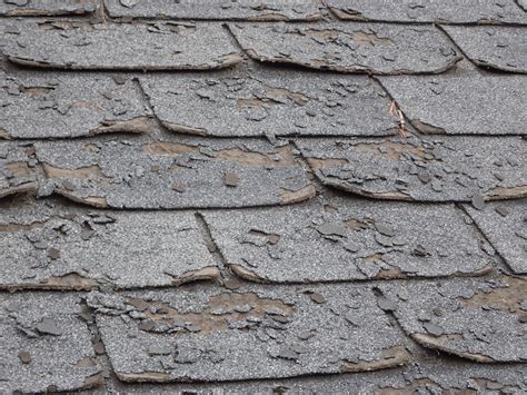 Identify shingle brand? - Roofing Inspections - InterNACHI®️ Forum