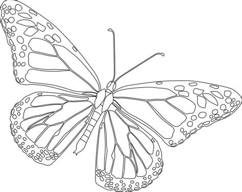 Free Printable Monarch Butterfly Coloring Pages