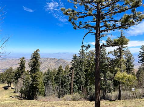 Mt Lemmon Ski Valley Sky Ride Review [2022] - UponArriving