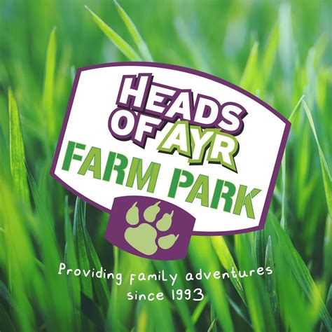 Heads of Ayr Farm Park - VisitSeeDo