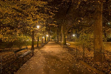 "Autumn Night In A Park" by Stocksy Contributor "Tom Uhlenberg" - Stocksy