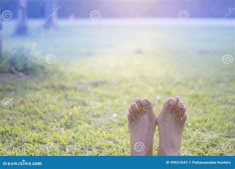 Barefoot of Woman Relaxing on Green Grass Stock Image - Image of lifestyle, resting: 99031843