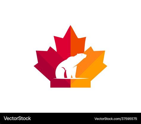 Maple bear logo design canadian bear logo red Vector Image