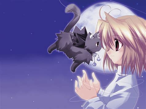 Cat & Tsukihime, moon, cat, tsukihime, anime, HD wallpaper | Peakpx