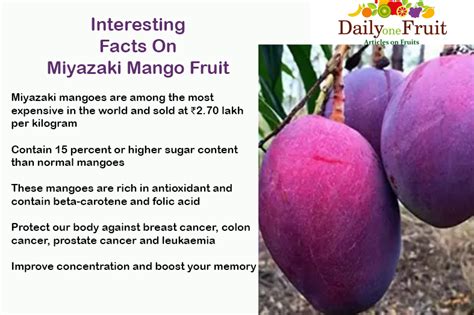 Health Facts On Miyazaki Mango - dailyonefruit