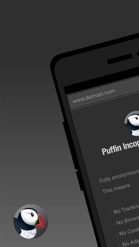 Puffin Incognito Browser APK for Android Download