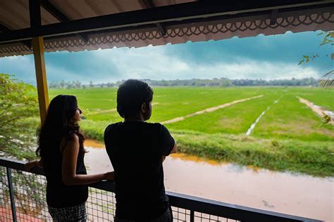 Photo Gallery - Mango Meadows: World's first agricultural theme park