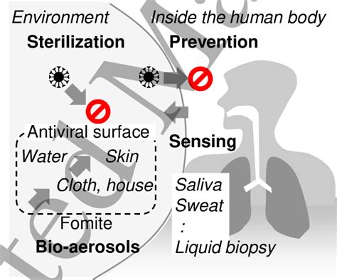 Technological targets for the prevention of viral infection. Airborne... | Download Scientific ...