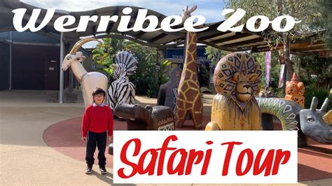 Werribee Open Range Zoo: Safari tour - YouTube