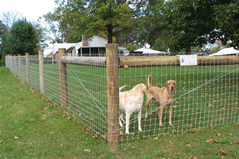 Welded Wire Dog Fence