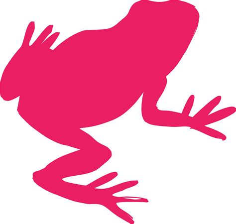 SVG > tropical tree rainforest frog - Free SVG Image & Icon. | SVG Silh