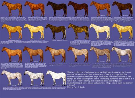 Iowa Grognard: Horse Color Charts