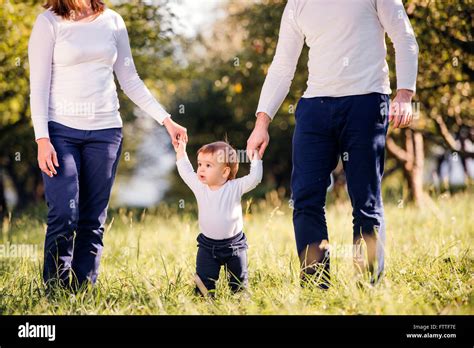 Parents holding hands of their son making first steps Stock Photo - Alamy