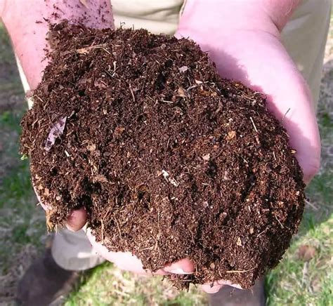 Worm Farm Series - Part Six - Harvesting Your Vermicast And Worms